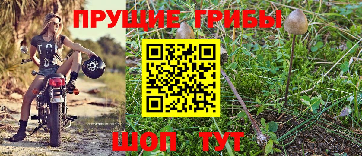 Среднеуральск  Галлюциногенные грибы Psilocybe  Вход с VPN 